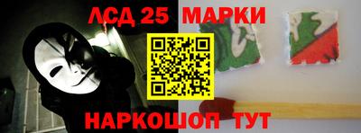 шишки Кандалакша