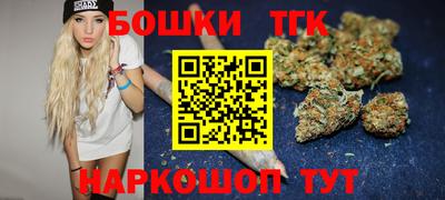 шишки Кандалакша