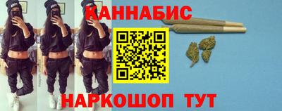 шишки Кандалакша