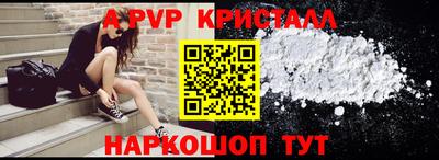 шишки Кандалакша