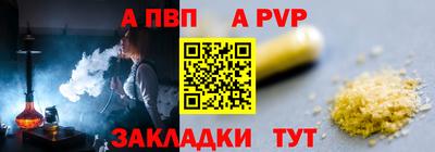 шишки Кандалакша