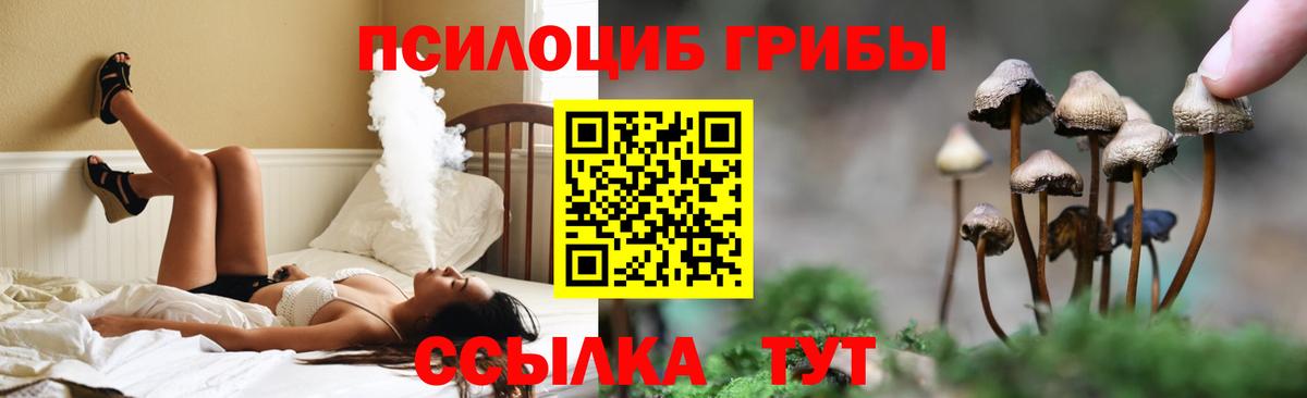 Псилоцибиновые грибы Psilocybe  Вход с VPN  Лесной  Псилоцибиновые грибы Cubensis 