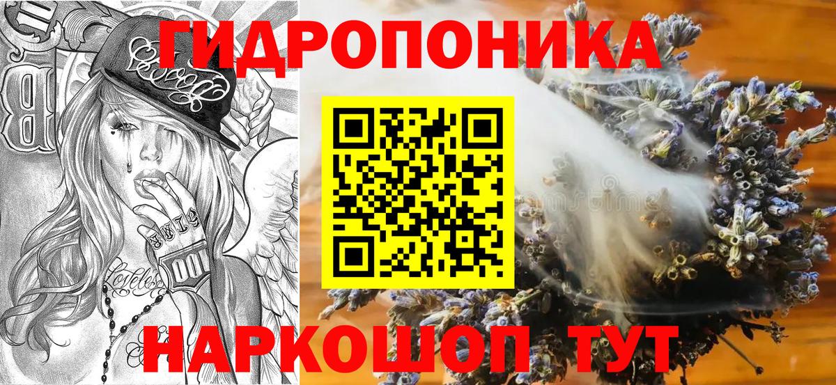 Каннабис конопля Лесной